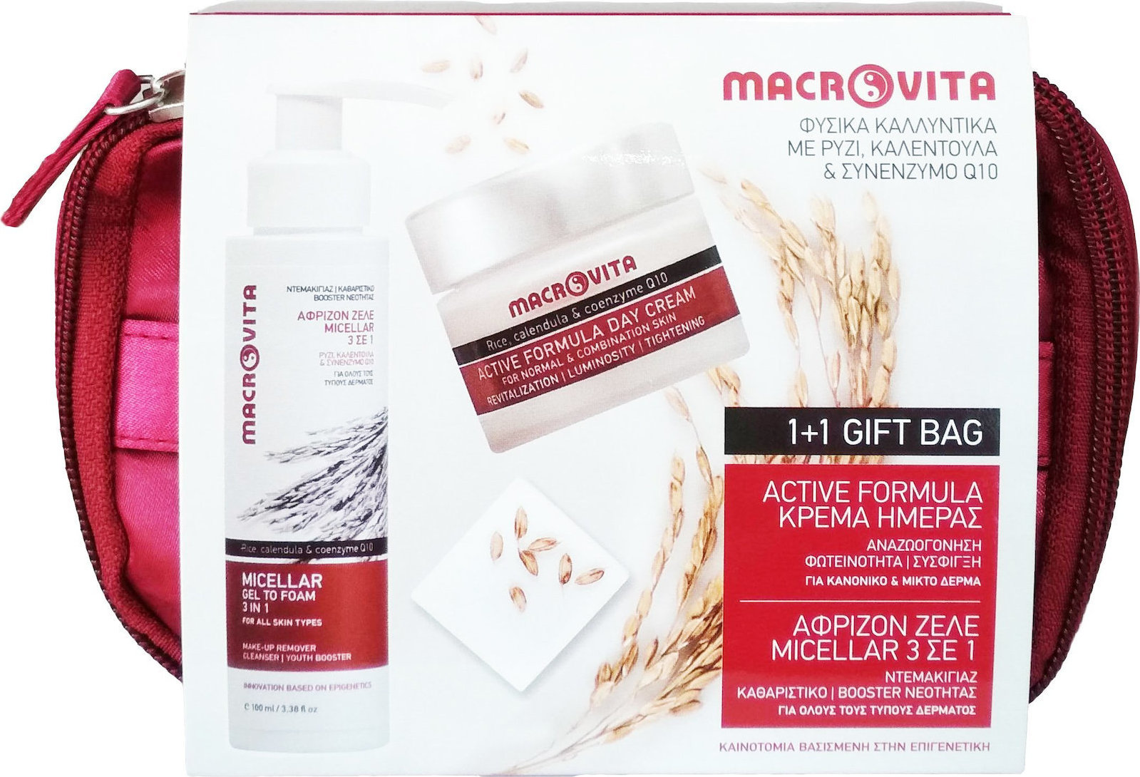 MACROVITA Micellar Gel to Foam 3 in 1, 100ml & Active Formula Day Cream Normal/Combination Skin 40ml 1+1 Δώρο