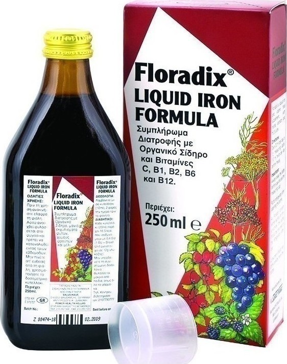 POWER HEALTH Floradix Sirop 250ml